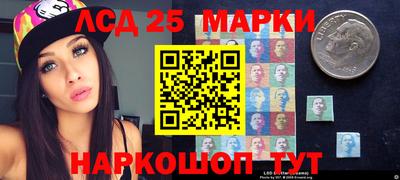 шишки Ставрополь