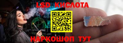 шишки Ставрополь