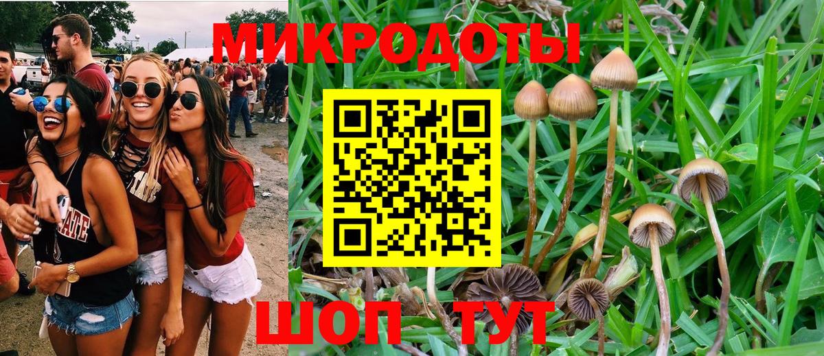 Псилоцибиновые грибы ЛСД  цена наркотик  Нововоронеж  Вход с VPN  Галлюциногенные грибы GOLDEN TEACHER 